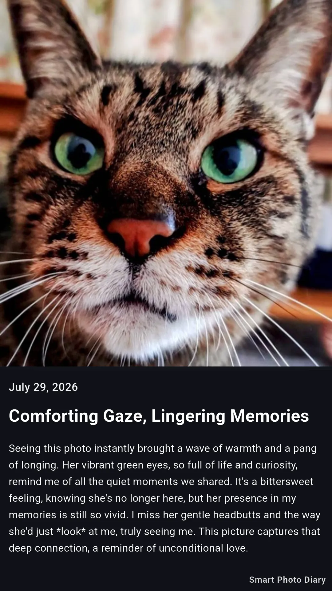 生成された日記。猫の写真の下に、そこから書かれた短い文章が続く